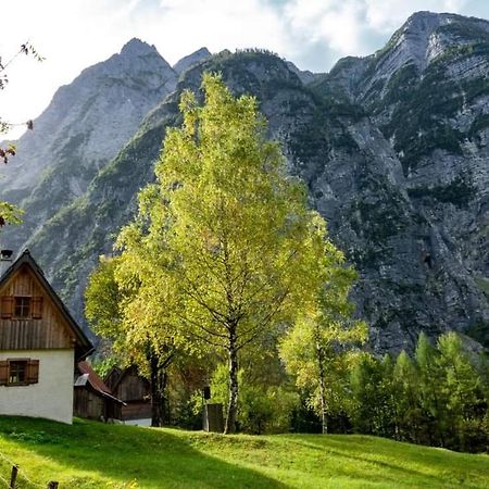 Cottages Kravanja Trenta Luaran gambar
